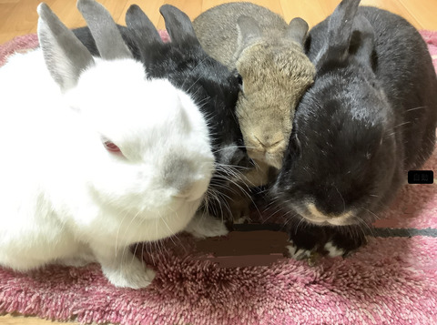 75399922-2A88-44E1-9A40-1BE4A642AEF3