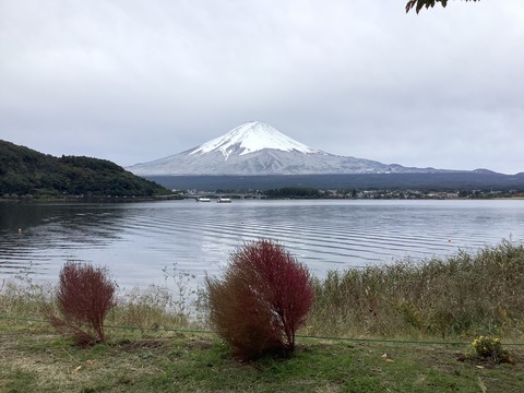 033B6A8F-44E2-436C-85F0-B9F7405D428D