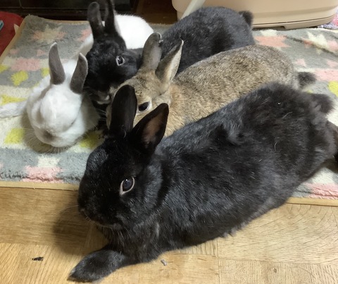 0C527211-2EBE-4D31-9758-E2349B08A44B