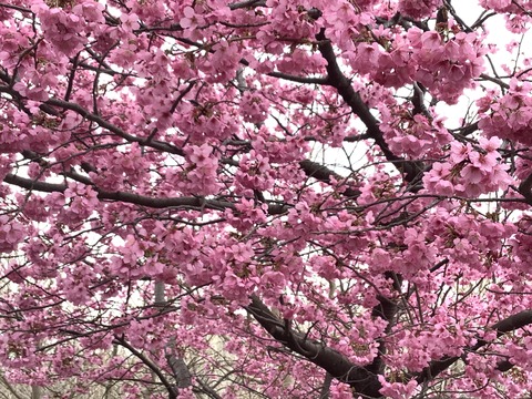 AE913EB0-4AA0-47E7-9922-A8C2EDBC8DFD