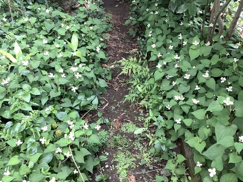 D293F471-17FF-4AE8-BB1E-5C5B0DAA0A53