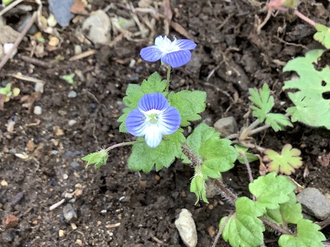 CD14FE6F-3EB5-40BA-B17A-B3E4A05BD9FC