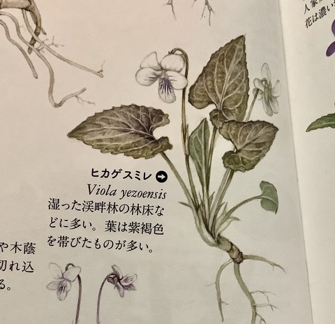 F7CE686E-FCCD-4605-89FC-DFB3254D09CB