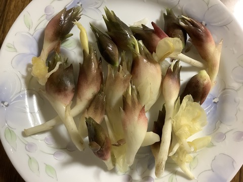 A6DBD50B-9FC4-46D8-8A6B-039E673A4DB5