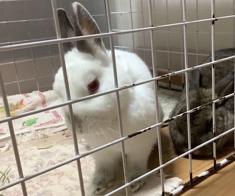 4C245C28-774D-4F17-B537-778B6028FE23