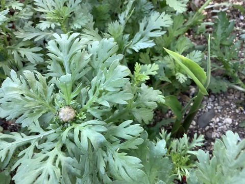 6B2C974A-E105-4A1A-8EFE-990162319FE6