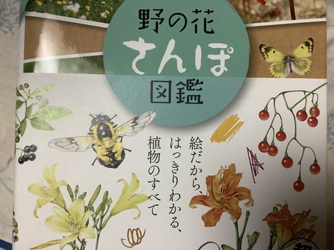 4137A979-BB2D-407C-A96D-DA5B1C734A1A