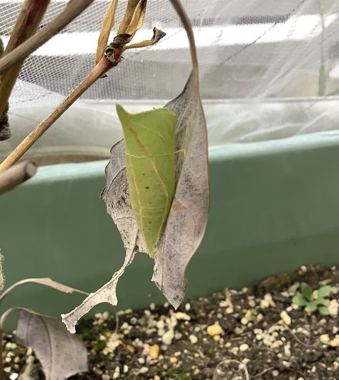 59A0DA6D-ADC7-4420-8236-9A4B6646B39F