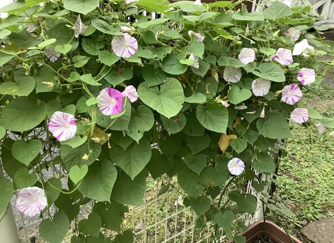 2B8BE280-5D11-48C7-A910-F1B52BC50C64