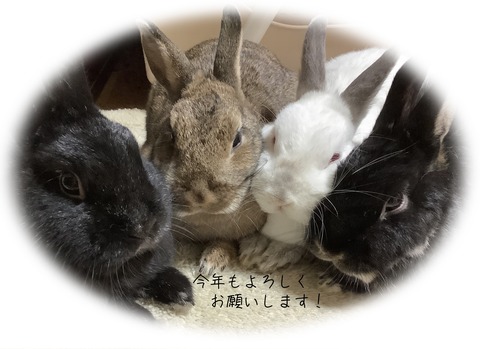 96AB2D73-A40F-4FB0-9B5C-6D1E0843DE2B