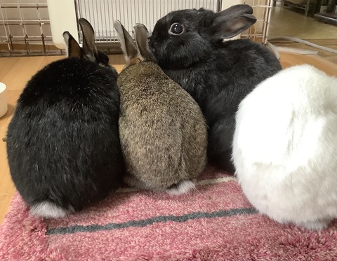 D5FA4511-9DB6-49EC-B837-82AF310C0A94