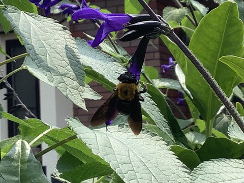 01AFD9FD-D17C-443C-81CC-C931C2AE077D