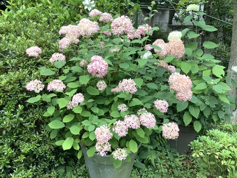 167E8515-1953-45E7-8F0F-F409E2629141