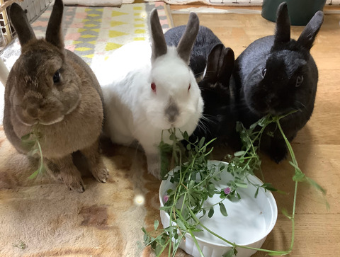 7315144B-FEB9-48DC-8BD5-863A619F8BA5