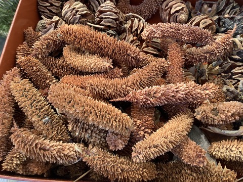 B37EB781-39FE-4CAD-9E83-2FC6257A8480