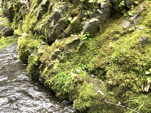 4969D084-F743-4DF1-9FCA-8D18012BA7CF