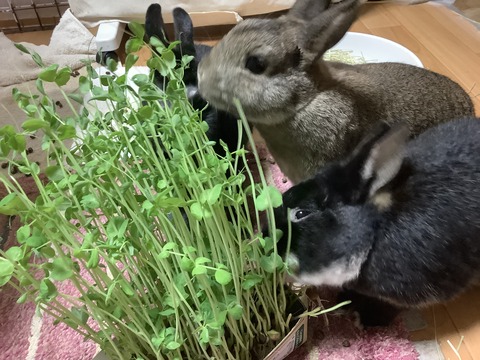 3E633CE0-DB98-490C-9A3A-0BB76FC058D8