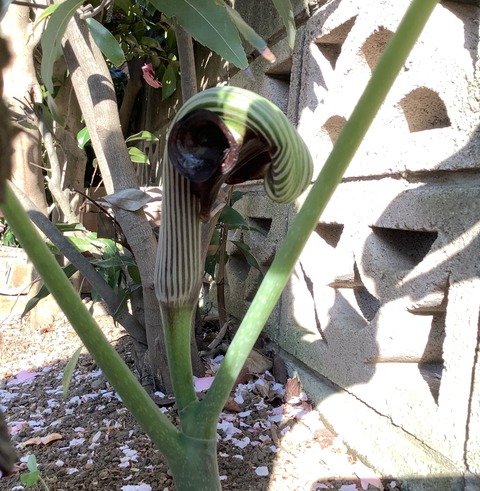 682FBE85-29FE-416E-914E-6D1D6488EEB3