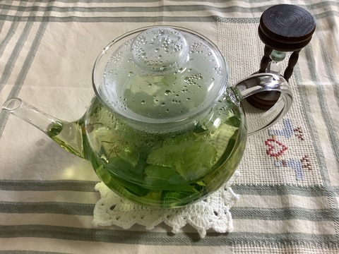 43D72650-5B95-4AB7-AE21-245A29C9EC5D