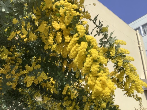 A6256036-5740-4DCB-909A-48A31C7F6337