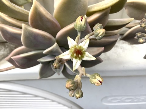 BFA544F3-611B-430B-AFE7-A10DA532FACC