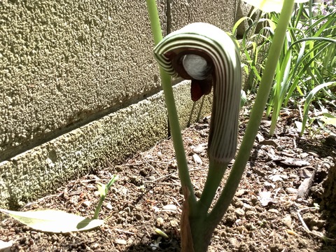 1CB6F286-457D-4E1C-B1FA-1A21734E17D0