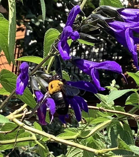 642B0C99-4E48-4282-86DB-D82D2358018B