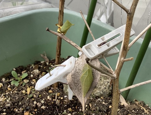 3846A221-AA69-4A19-B793-23C8D6DA877D