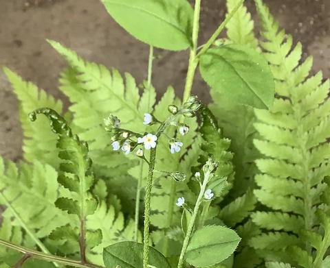 C215A516-90BE-4A62-BFB6-09B4DA41C9F0