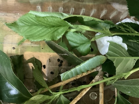 AC4BF6C6-7D6B-4CFA-91A9-04A486829CDD