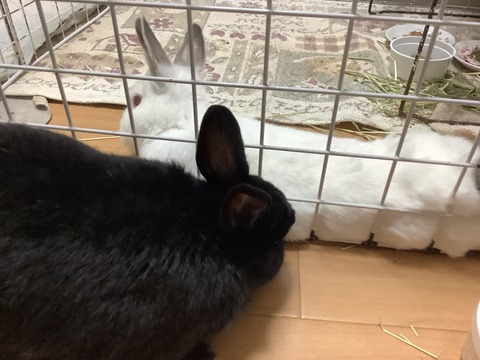 E4413C9F-0C67-406E-B248-5FE06946E09D