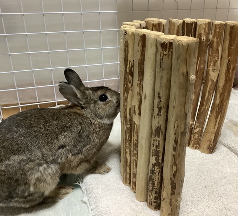 3452012F-F9B8-4038-A0BF-05F3CEB7F7C7