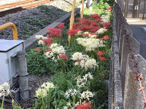 AE736FAB-E292-4A58-A151-4ED8BD9E693A