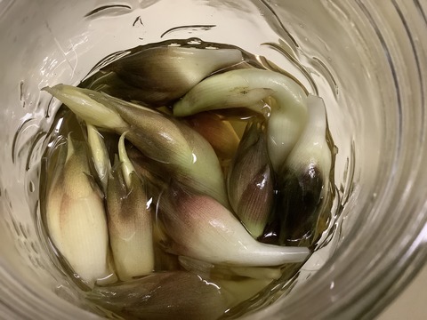 6E9504C9-696C-4355-B773-E75B89BE4997