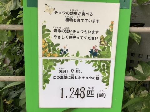 5CA7805E-E406-46AC-A160-8383DFC4A7CC