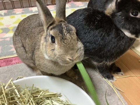 9CF3FF41-228C-4F4D-8B88-5DB0EAA342BB