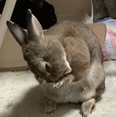 5B881CD6-CEE4-4993-98DD-F7AC5E9BCF06