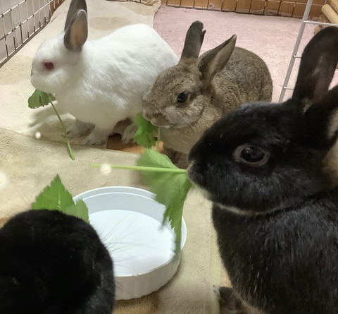 0B70572C-5911-42A4-849E-53B660AA7031