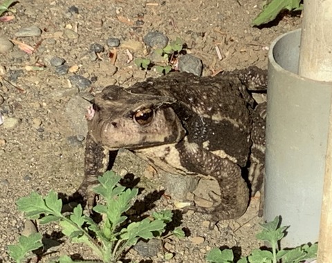 E5BC39F2-C4F7-4B75-BED9-59E02FE3D95D