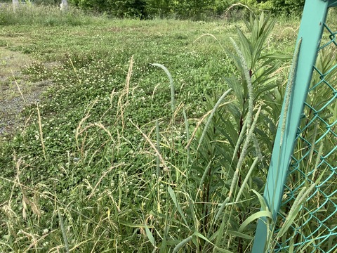 FFBD3437-ADB8-4DAA-BBC5-E16A42193121