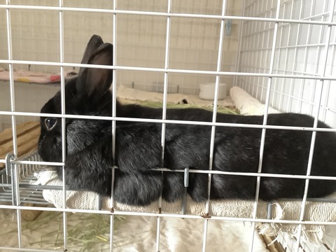 3D4A48DB-DBE3-4830-BB45-6687EF650E91