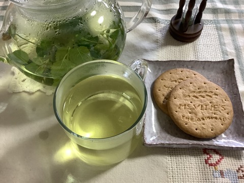 0815AAB7-7F9E-426F-91F4-22135A360BB7