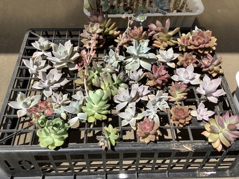 1DA1B9FE-0E2C-4089-B656-68E2F451F4B0