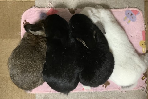 D78F7E40-C8A7-4018-95E7-697D29843DC8