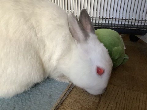 7797C047-FF3B-4DF8-AD30-AC652F5839C8