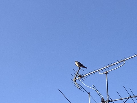 E8509663-5C13-4103-A154-F251D945444B