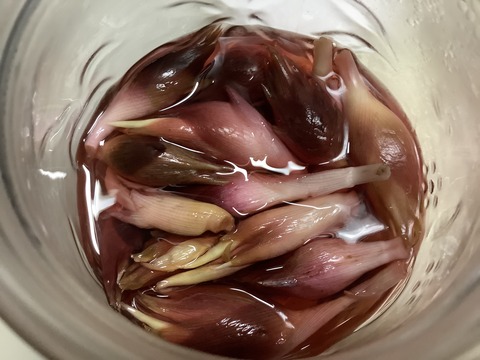 C0A9D690-3EF0-4BF1-81C4-0E012E161660