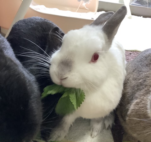 E7B56398-DCB5-4E8B-B7C3-E008CB1EEEC7