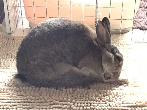 5017F0A3-9BC8-448E-BCF4-A2D858A2159E