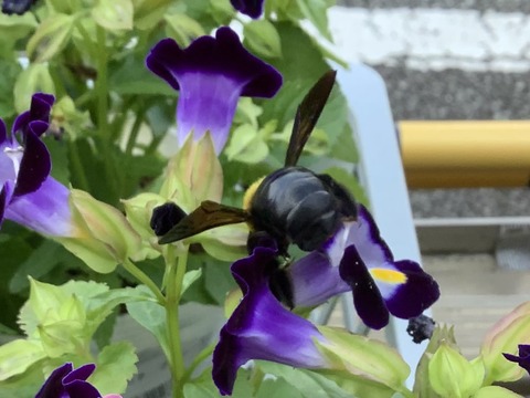 DF06008D-9EE6-4B98-9A7C-746767EA27D4